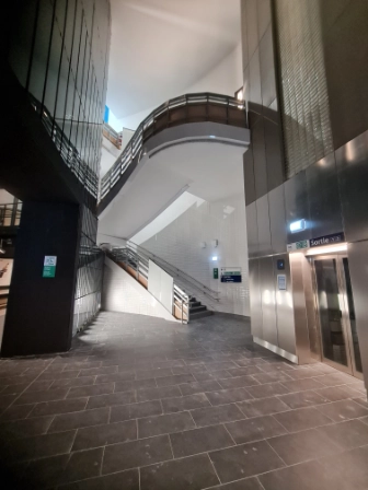 Looking at the stairs